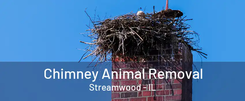 Chimney Animal Removal Streamwood - IL