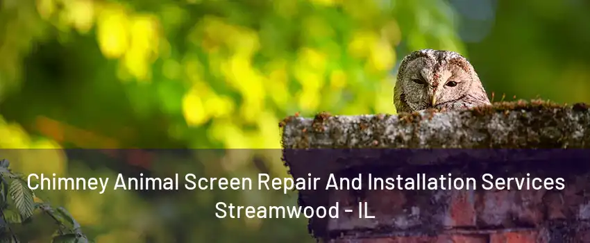 Chimney Animal Screen Repair And Installation Services Streamwood - IL