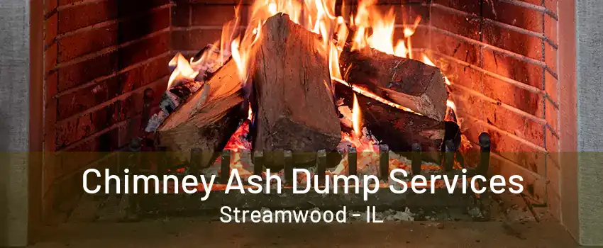 Chimney Ash Dump Services Streamwood - IL