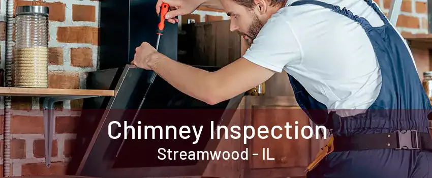 Chimney Inspection Streamwood - IL