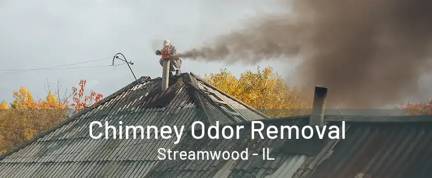 Chimney Odor Removal Streamwood - IL