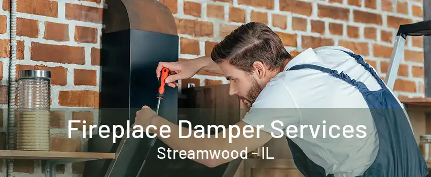 Fireplace Damper Services Streamwood - IL