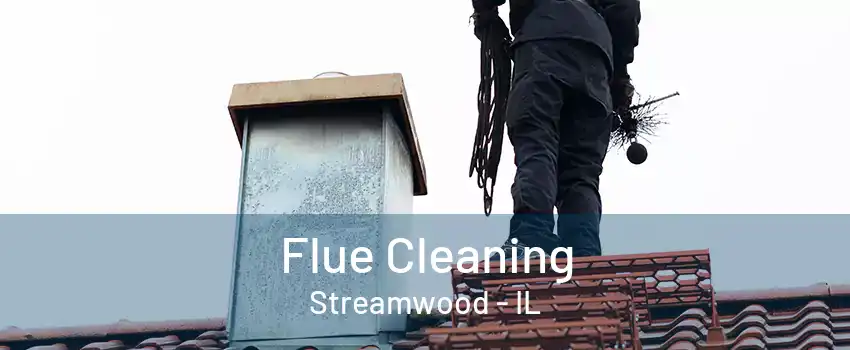 Flue Cleaning Streamwood - IL