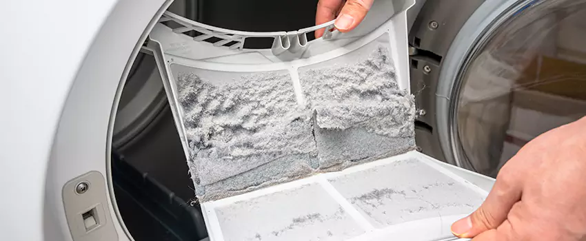 Best Dryer Lint Removal Company in Streamwood, Illinois