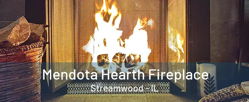 Mendota Hearth Fireplace Streamwood - IL