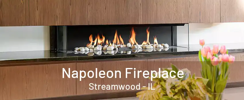 Napoleon Fireplace Streamwood - IL