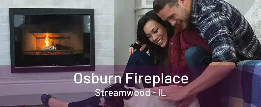 Osburn Fireplace Streamwood - IL